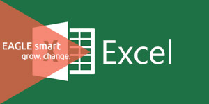 EAGLE smart trening microsoft excel