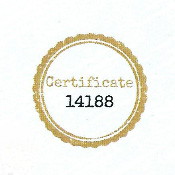 NLP Practitioner